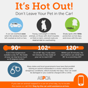 ASPCA It's Hot Out There Temperature Guide